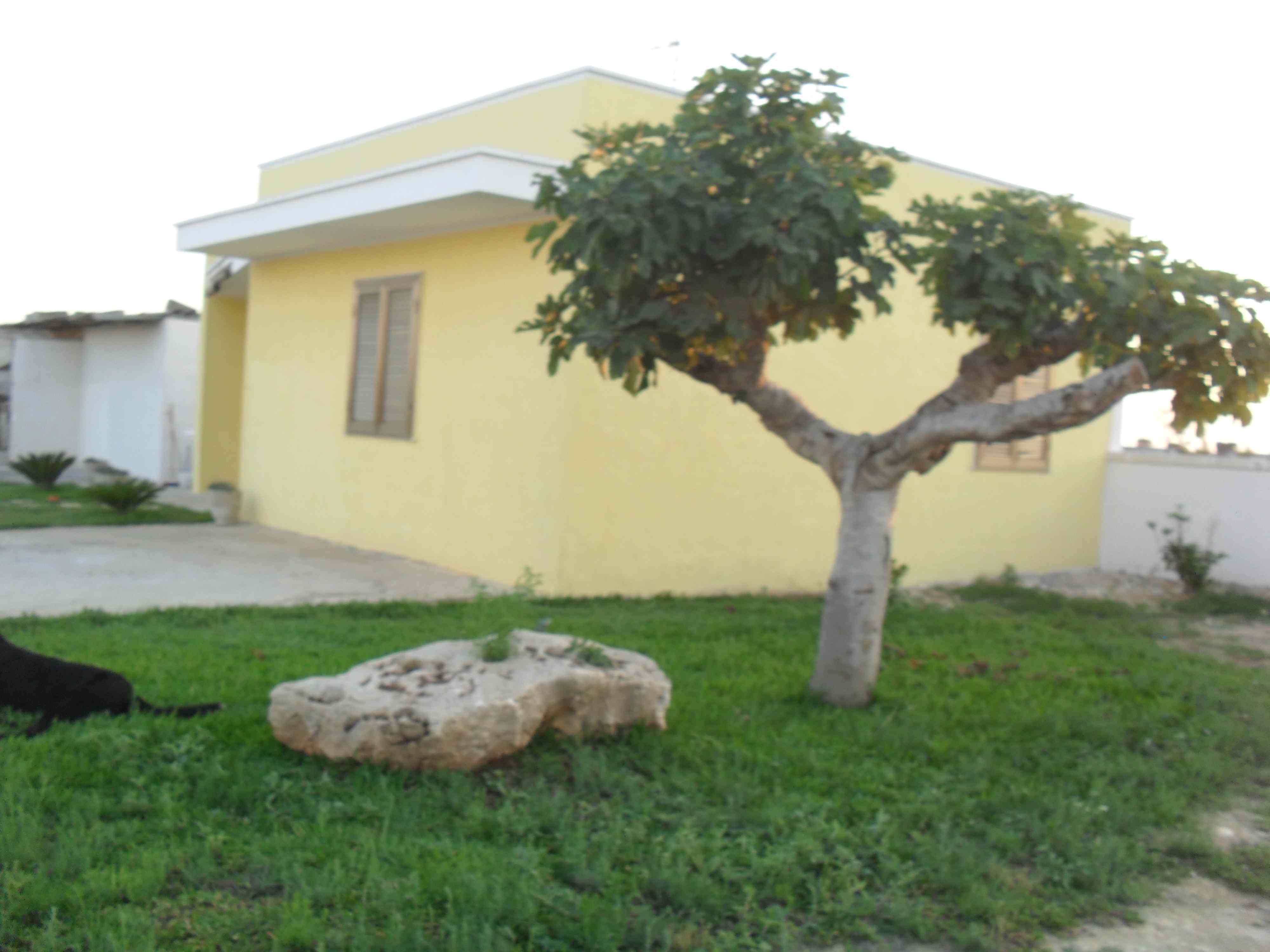 agriturismo_fontanella-VilladelSole008